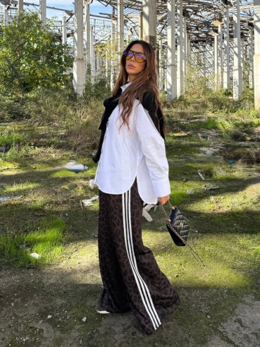 Pantatuta Sydney maculato