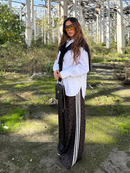 Pantatuta Sydney maculato