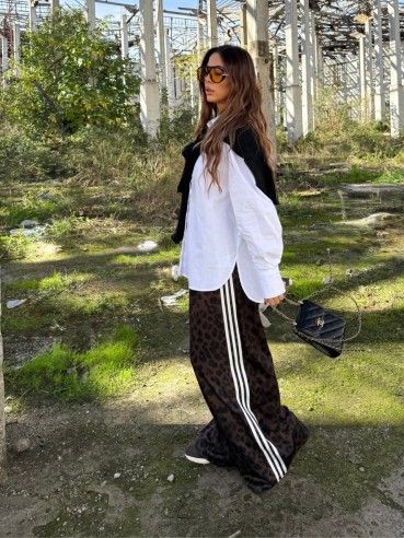 Pantatuta Sydney maculato