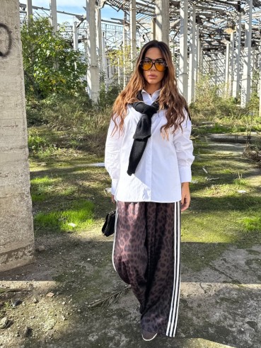 Pantatuta Sydney maculato