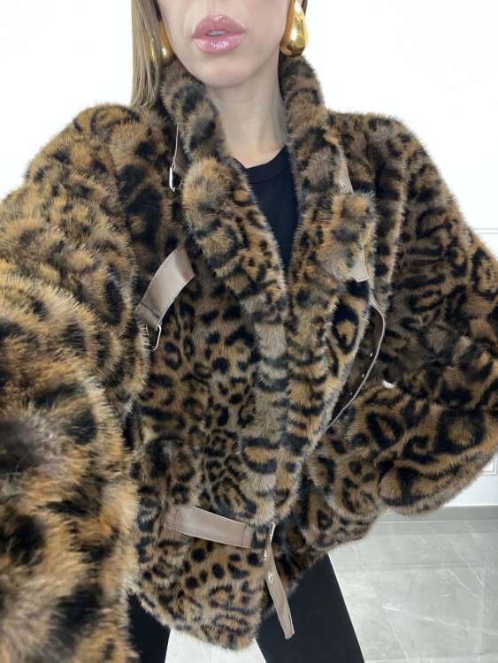 Pelliccia maculata 2